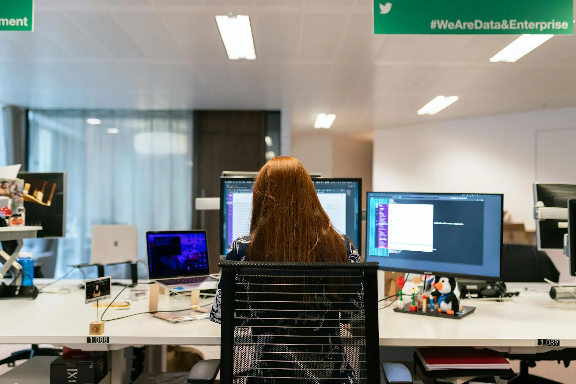 Desenvolvimento de Software em Itajaí: soluções tecnológicas para empresas